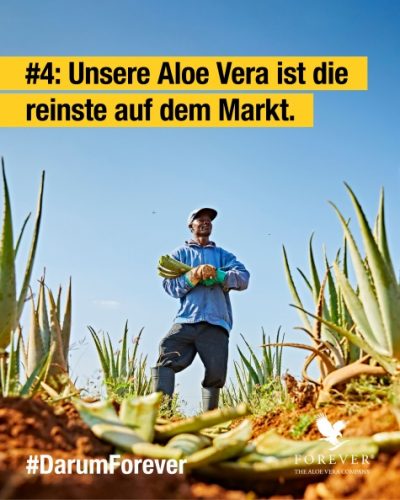 foreverliving-products-reinste-aloe-vera