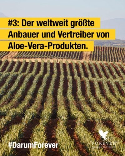 foreverliving-products-weltweit-groesste-aloe-anbauer